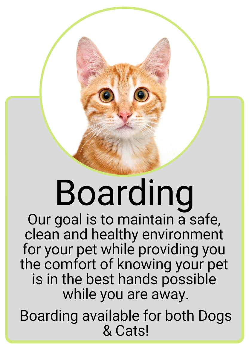 Boarding Button