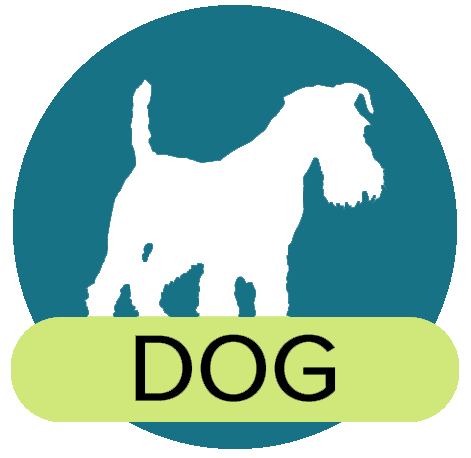 Dog Library Icon