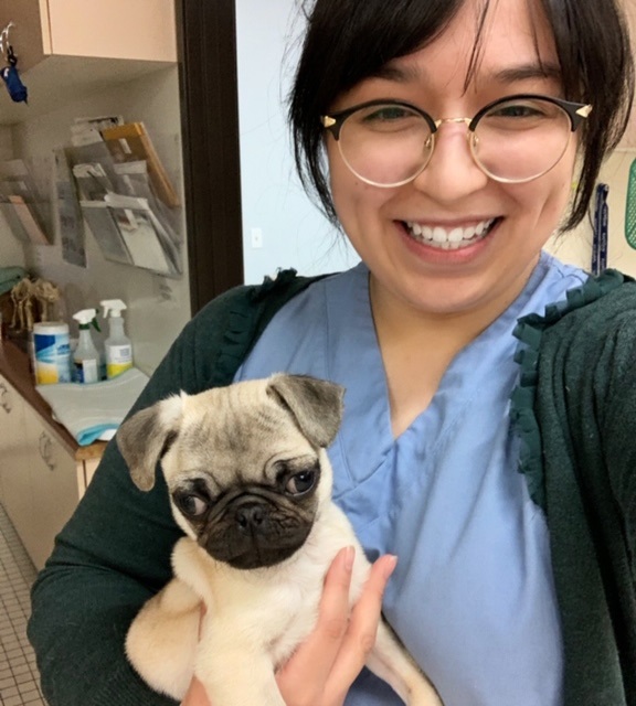 Jennifer Z. - Assistant Manager/Veterinary Assistant holding a little pug